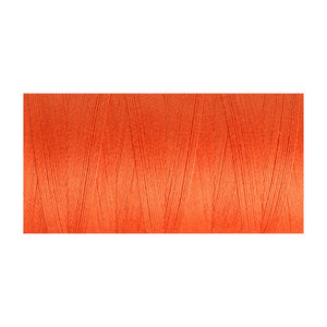 Celosia Orange