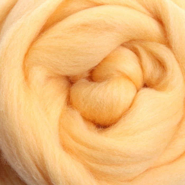 LIGHTS Ashford Merino Wool Roving