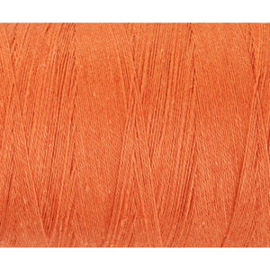 Celosia Orange