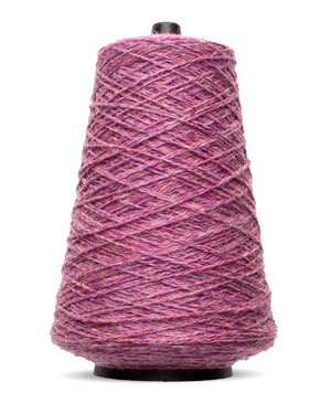 Aster