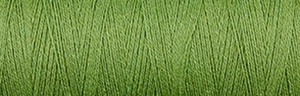 Fern Green 22/2