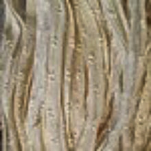 Load image into Gallery viewer, Light Sand Nubby Recycled Silk Chiffon Ribbon Novelty Yarn 5 Yards
