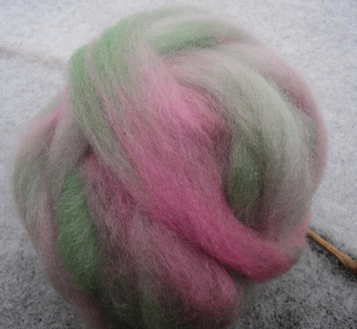 Kiwi and Rose Hand Painted Roving