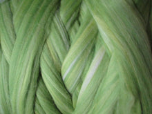 Load image into Gallery viewer, Super Fine &amp; Organic Light Greens Multi Merino Silk Blend DHG Merino
