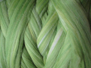 Super Fine & Organic Light Greens Multi Merino Silk Blend DHG Merino