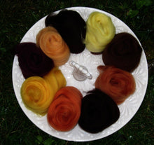 Load image into Gallery viewer, Fall Harvest Merino Collection Earthy Fall Color Sampler SUPER FAST SHIPPING!
