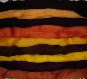 Fall Harvest Merino Collection Earthy Fall Color Sampler SUPER FAST SHIPPING!