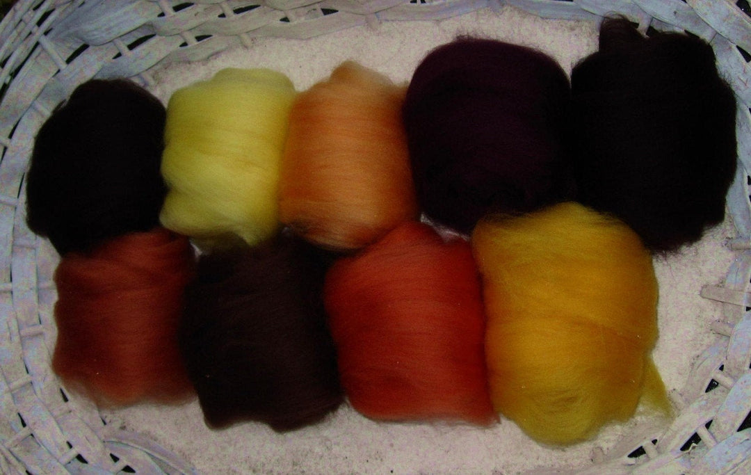 Fall Harvest Merino Collection Earthy Fall Color Sampler