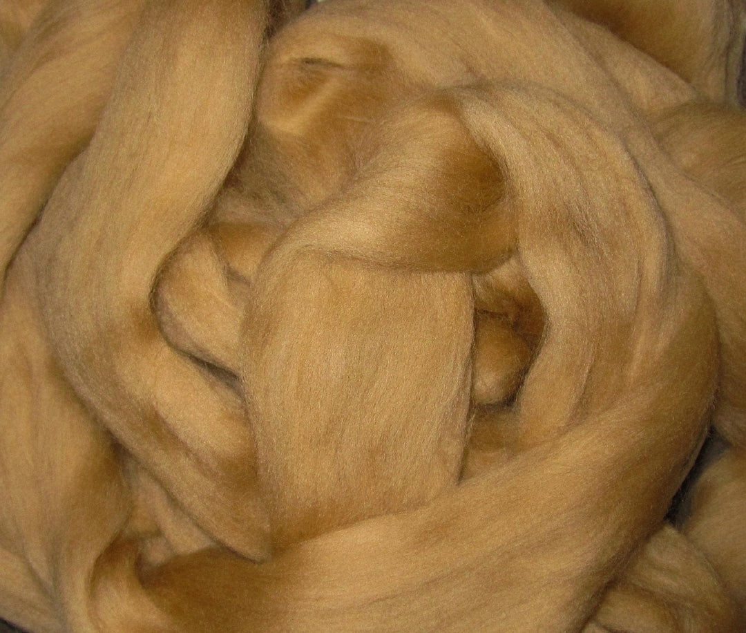 Soft Camel Ashland Bay Merino 64s