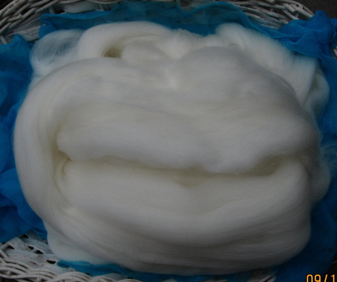 Ashland Bay Superwash Merino