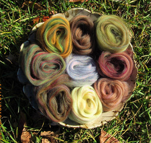 SOFT Jumbo Nature's Palette Earthy Ashland Bay Merino Collection 20 colors