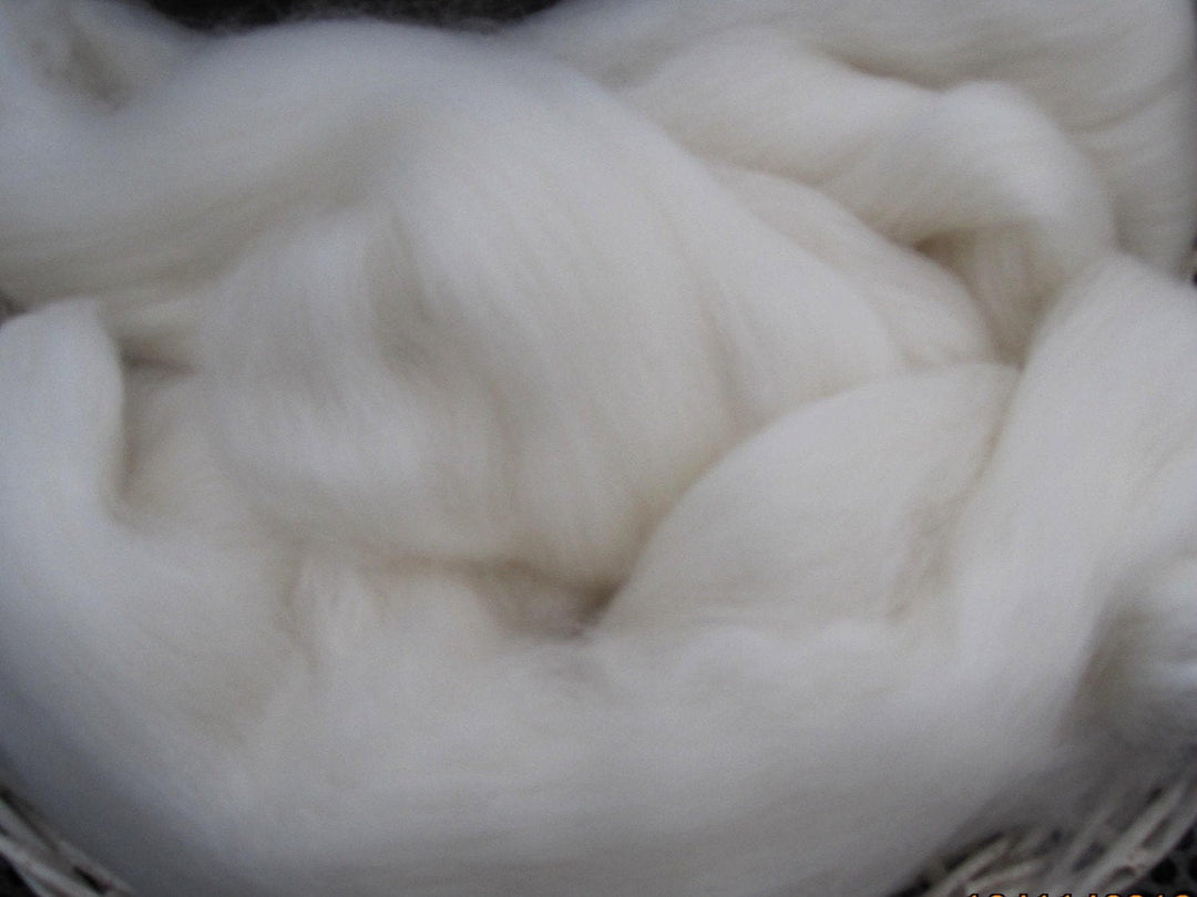 SOFT Ecru Merino Dyeing Hand Painting Ashland Bay