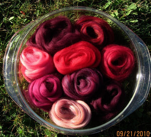 Ashland Bay Expanded REDS Merino 64s Collection for Spinning & Felting SUPER FAST Shipping!