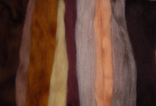 Load image into Gallery viewer, Soft Expanded BROWNS Merino Collection for Spinners &amp; Felters SUPER FAST Shipping!
