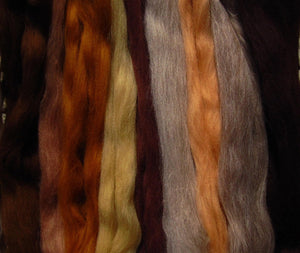 Soft Expanded BROWNS Merino Collection for Spinners & Felters SUPER FAST Shipping!