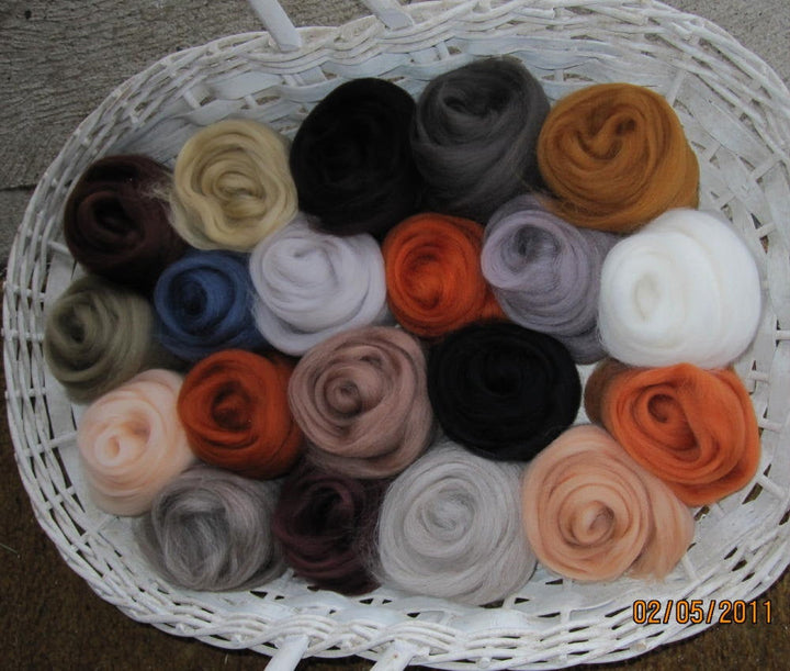 SOFT Jumbo Nature's Palette Earthy Ashland Bay Merino Collection 20 colors