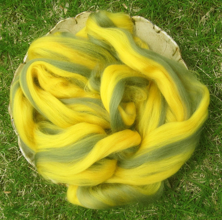 Avocado Gold Superwash Longwool Top