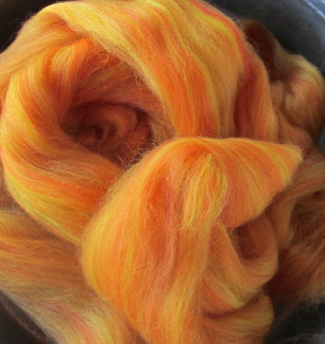 Gingery Fusion Superfine Multi Colored Merino Top Ashland Bay