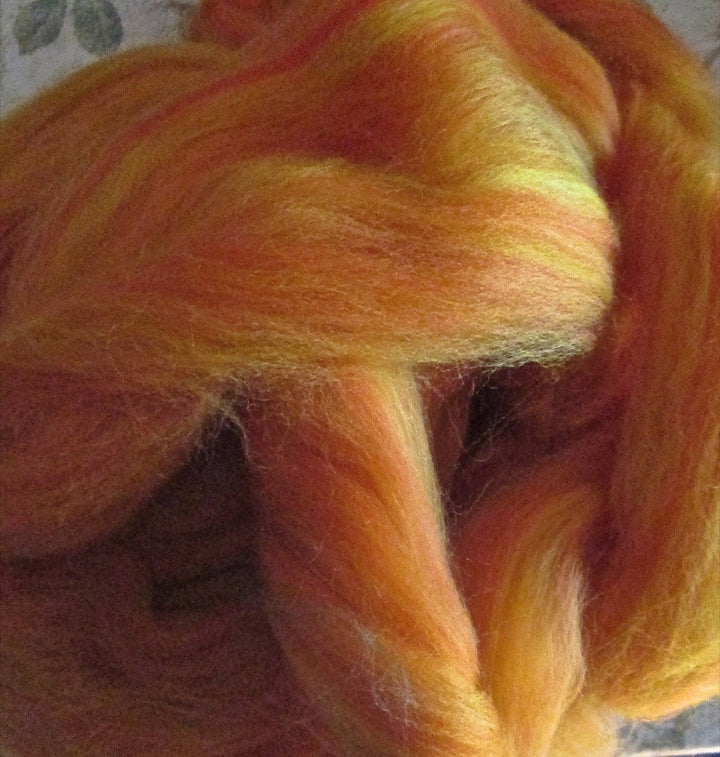 Gingery Fusion Superfine Multi Colored Merino Top Ashland Bay