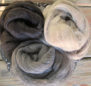 Your Choice High Quality Shetland Top Ecru, Fawn, Brown-black or Gray Great Spinning Fiber SUPER FAST SHIPPING!