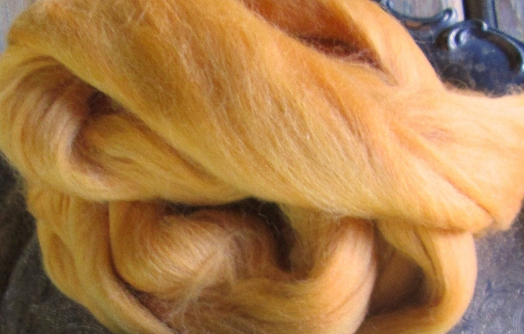 Soft Tangerine Merino Roving Ashland Bay