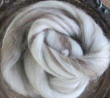 Load image into Gallery viewer, Mixed BFL Undyed White, Black or Multi - Colored Combed Top  Ashland Bay Roving
