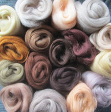 Load image into Gallery viewer, ALL THE BROWNS 17 Shades Merino Sampler
