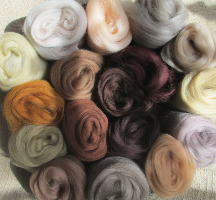 ALL THE BROWNS 17 Shades Merino Sampler