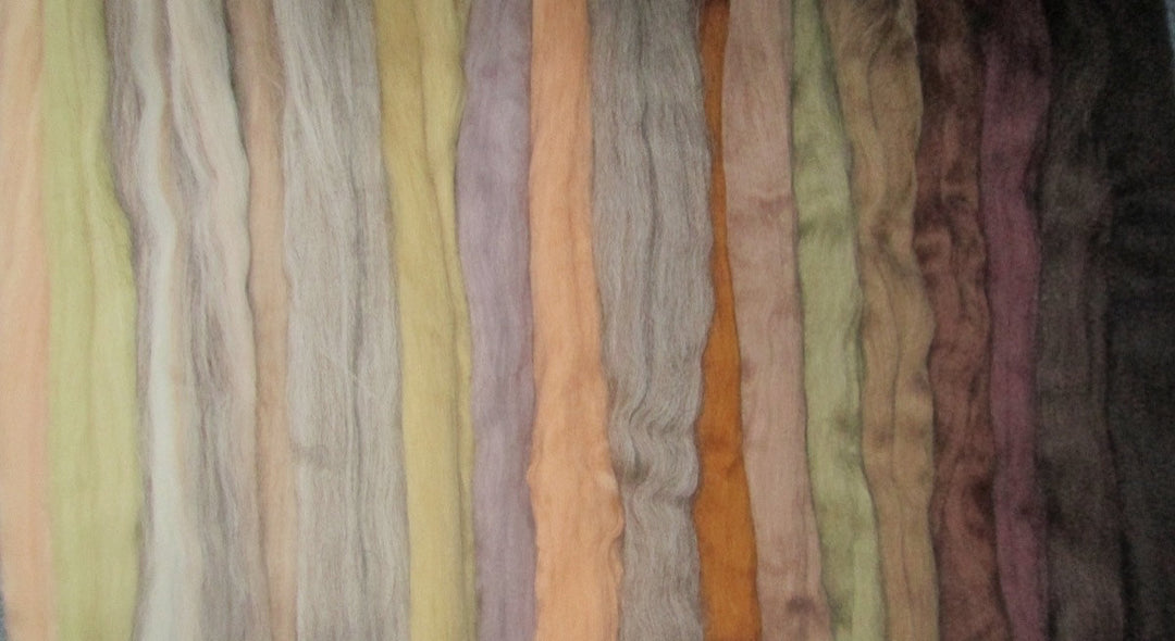 ALL THE BROWNS 17 Shades Merino Sampler