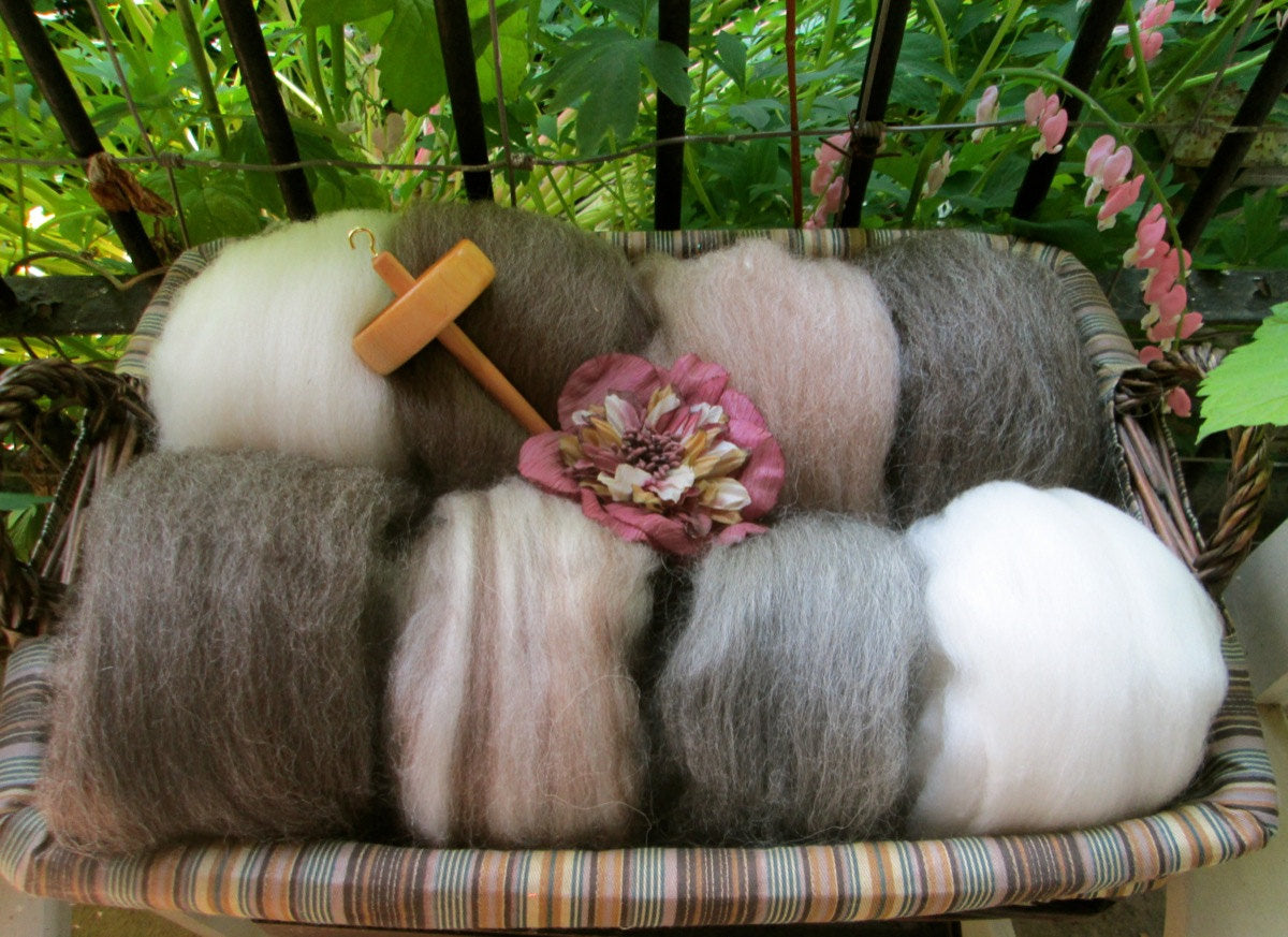 Natural Combed Wool Top Collection Sampler- Full Pound of Fiber