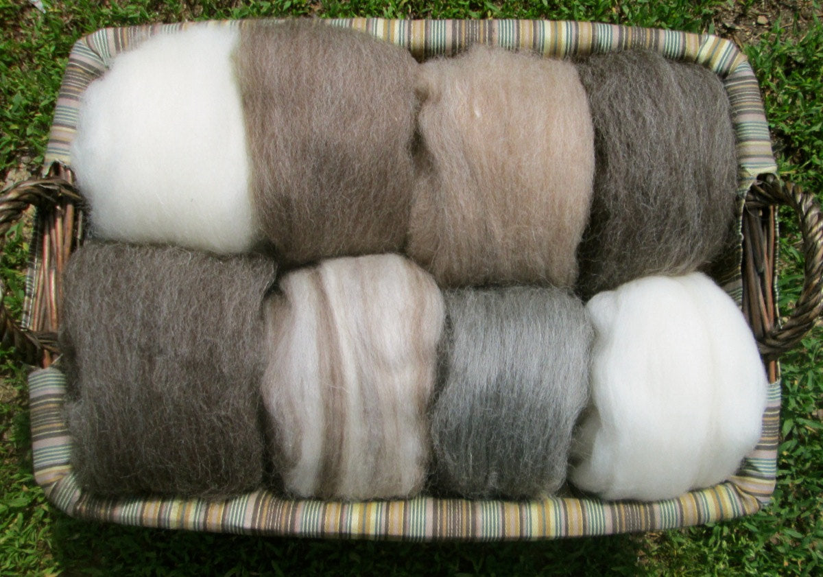 Natural Combed Wool Top Collection Sampler- Full Pound of Fiber
