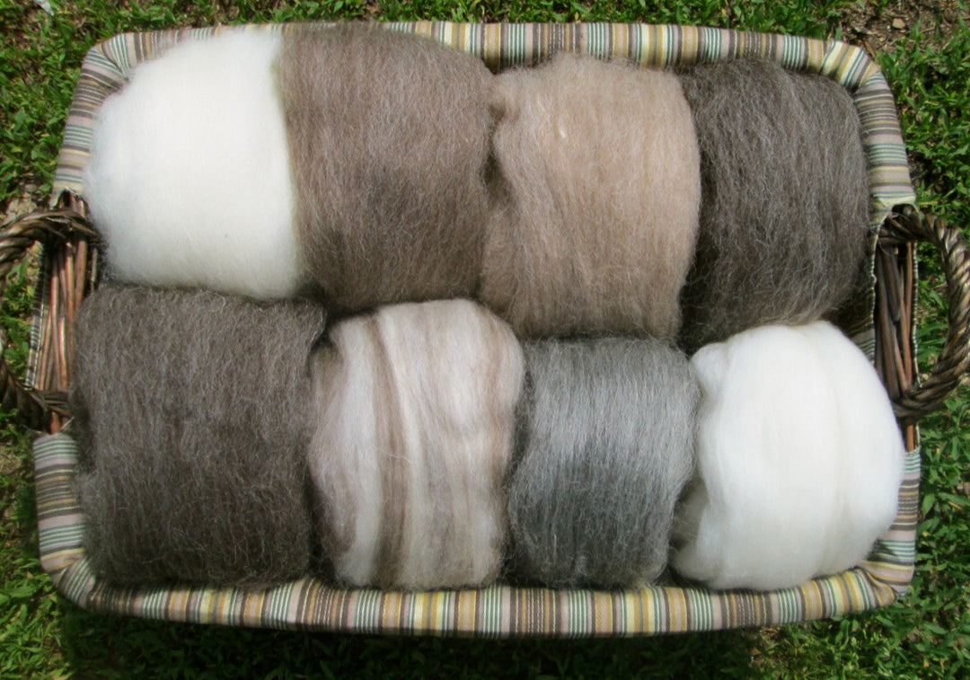 Natural Combed Wool Top Collection Sampler- Full Pound of Fiber!