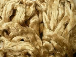 Ultra Luxurious Muga Silk Natural Lustrous Golden Sheen