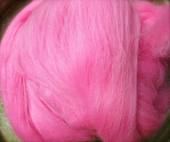 Camellia Ashland Bay Merino